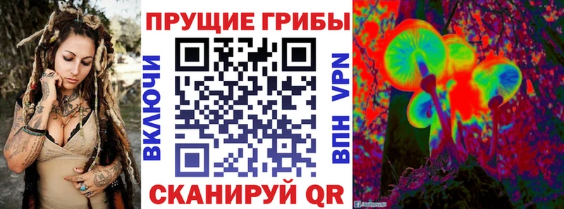 Псилоцибиновые грибы Psilocybine cubensis  купить наркотик  Урень 